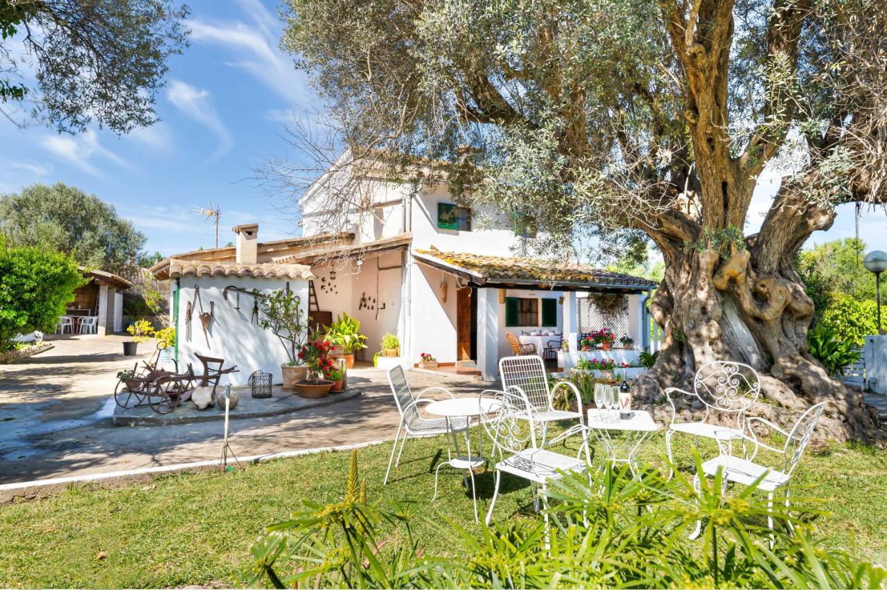 Finca Sa Llegua * Alcudia (Mallorca)